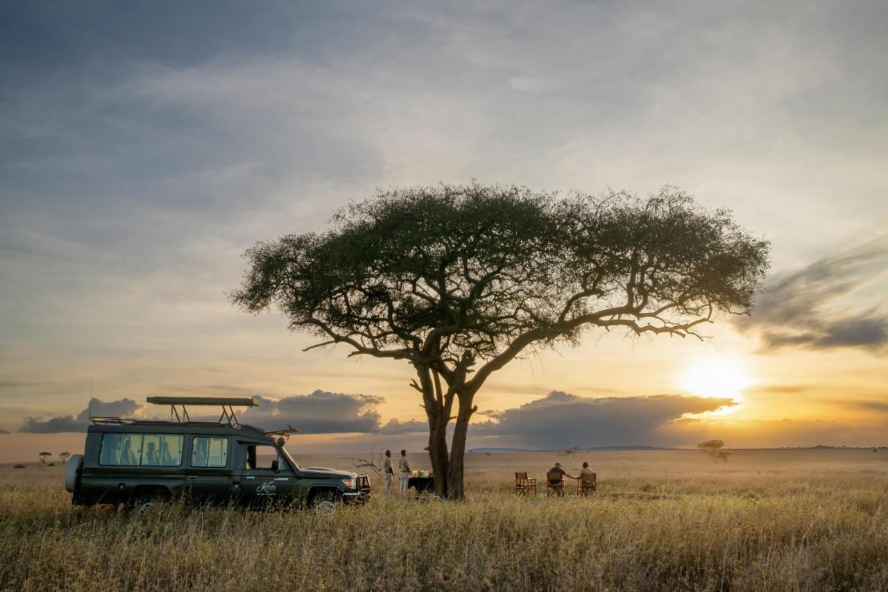 Serengeti Sametu Camp Eksteriør billede